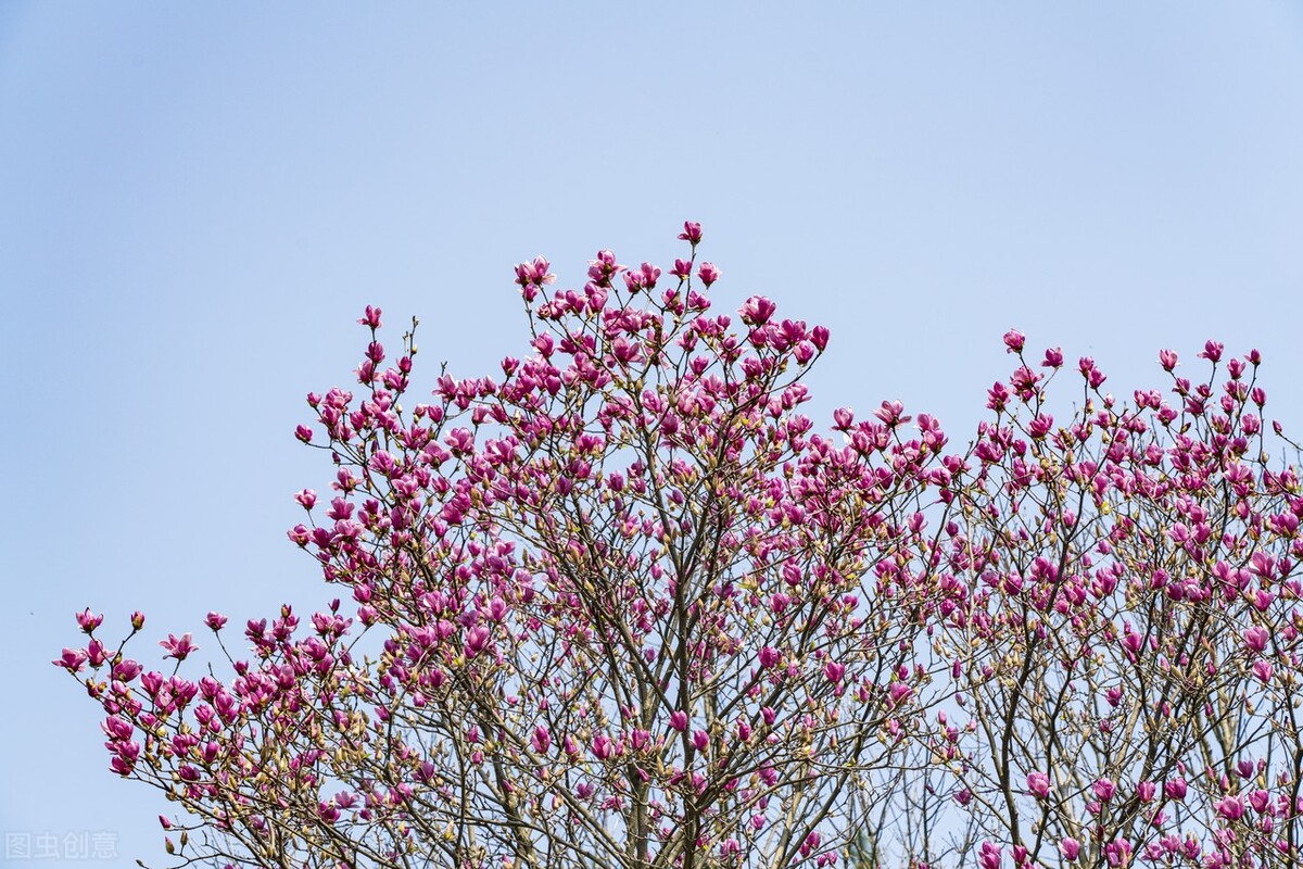 怎么办才能让自己尽快走出困境呢,如何走出逆境不与自己为敌
