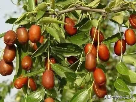 百里石川河，一路风景一路歌