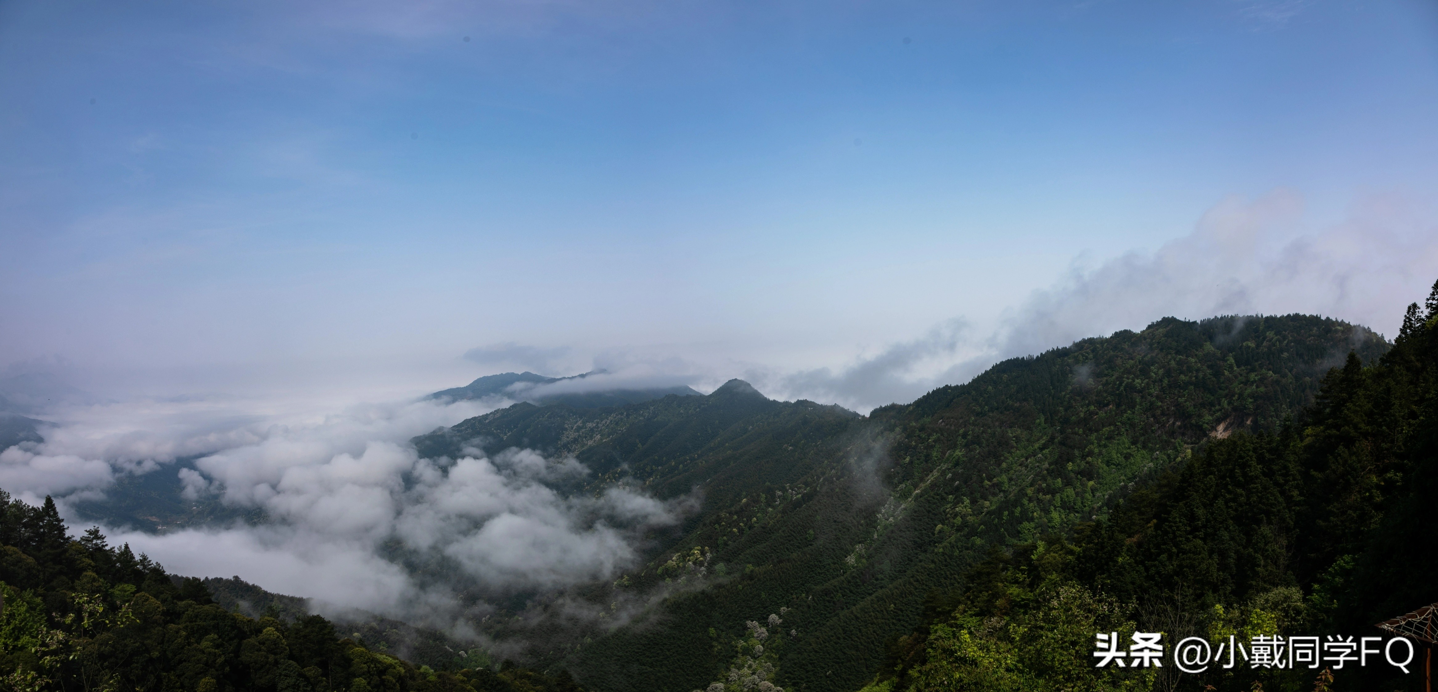 大江西特色美食,江西省各大城市的特产