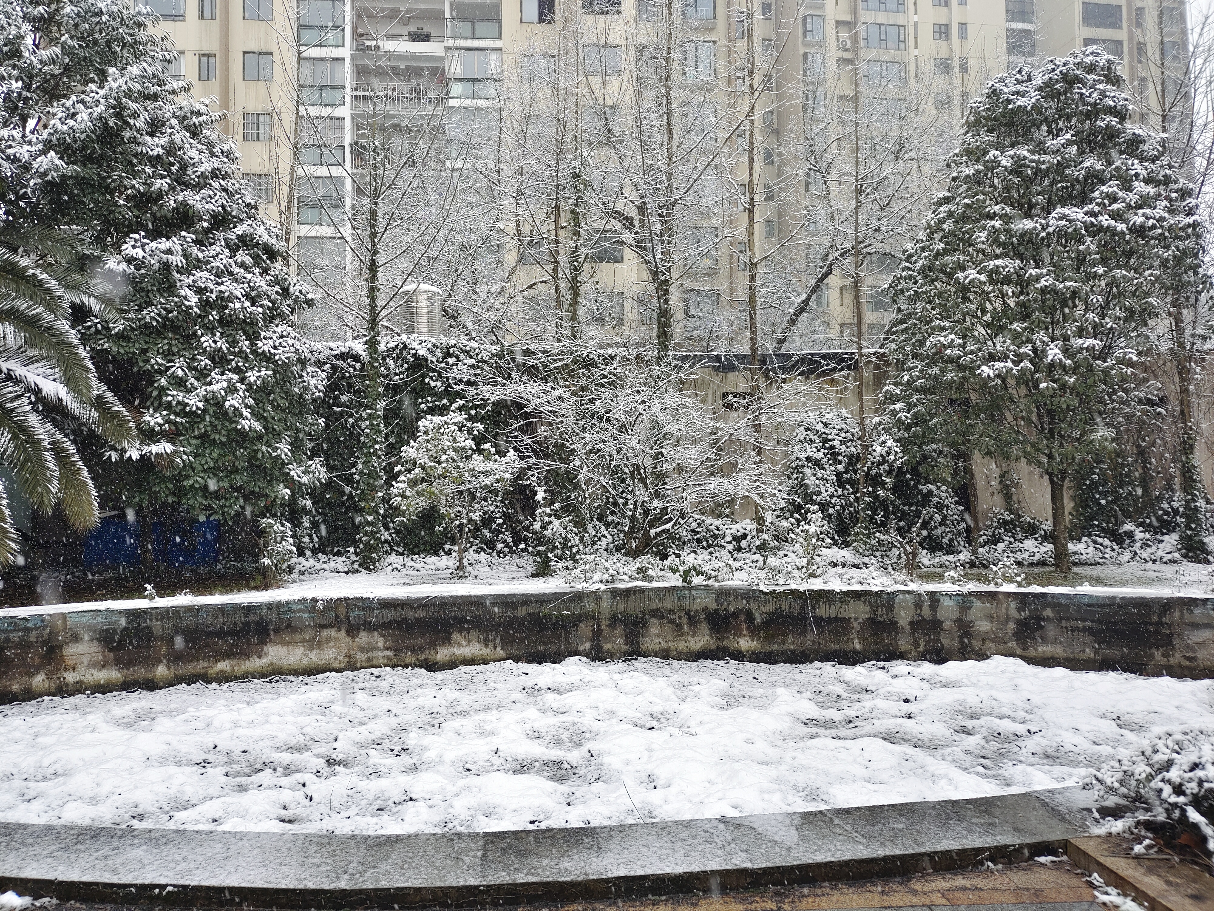 iqooneo5新手机换机,iqooneo5换新系统