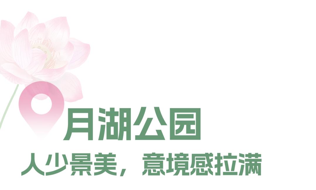 长沙赏秋去哪里,长沙第一波赏荷地图