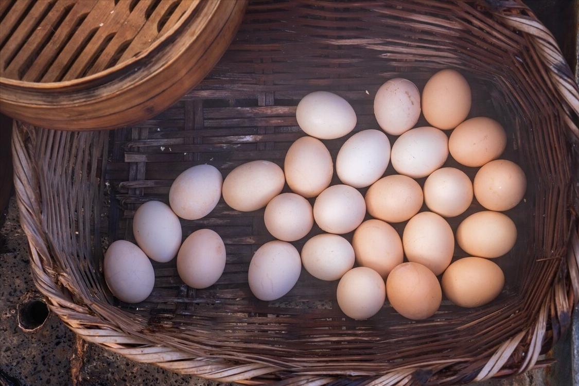 买鸡蛋是大的好还是小的好,鸡蛋买大的好还是小的好