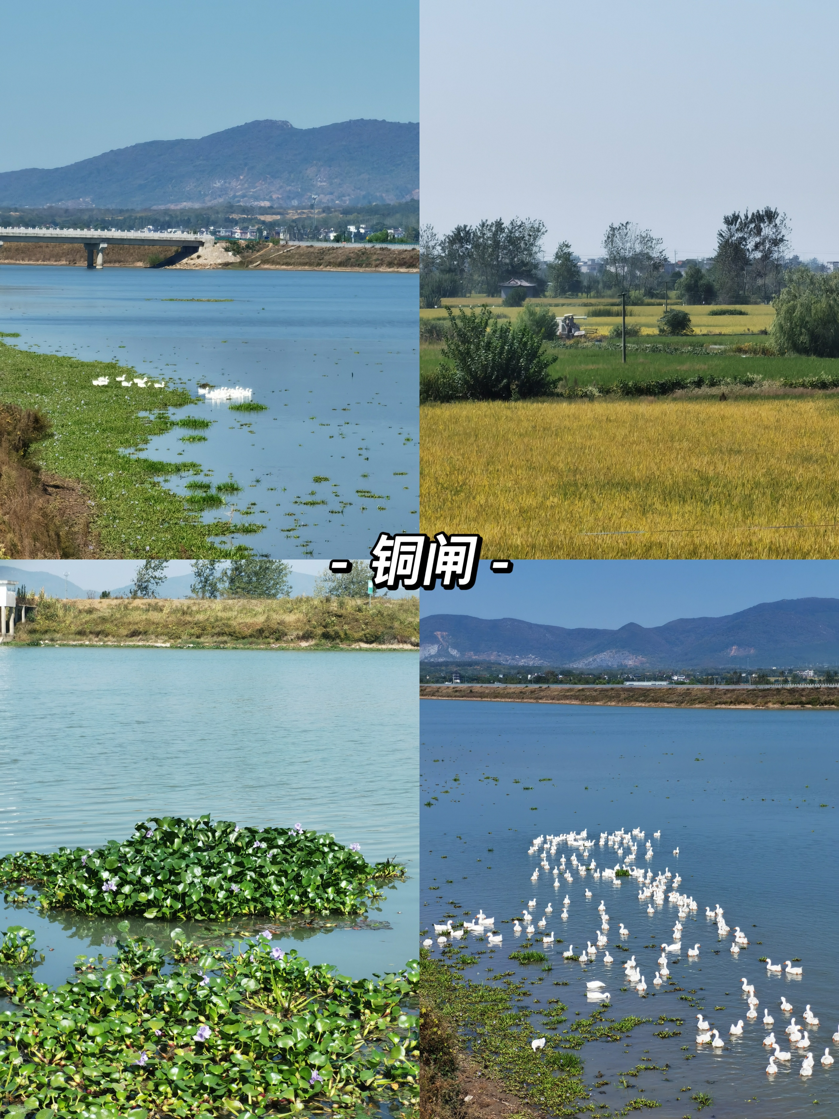 合肥周边3-5天短途自驾游推荐,合肥周边适合带孩子自驾游的地方