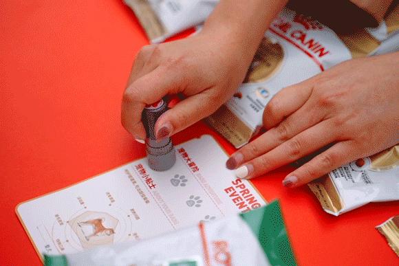 市区100平米宠物游乐园,宠物游乐场室内