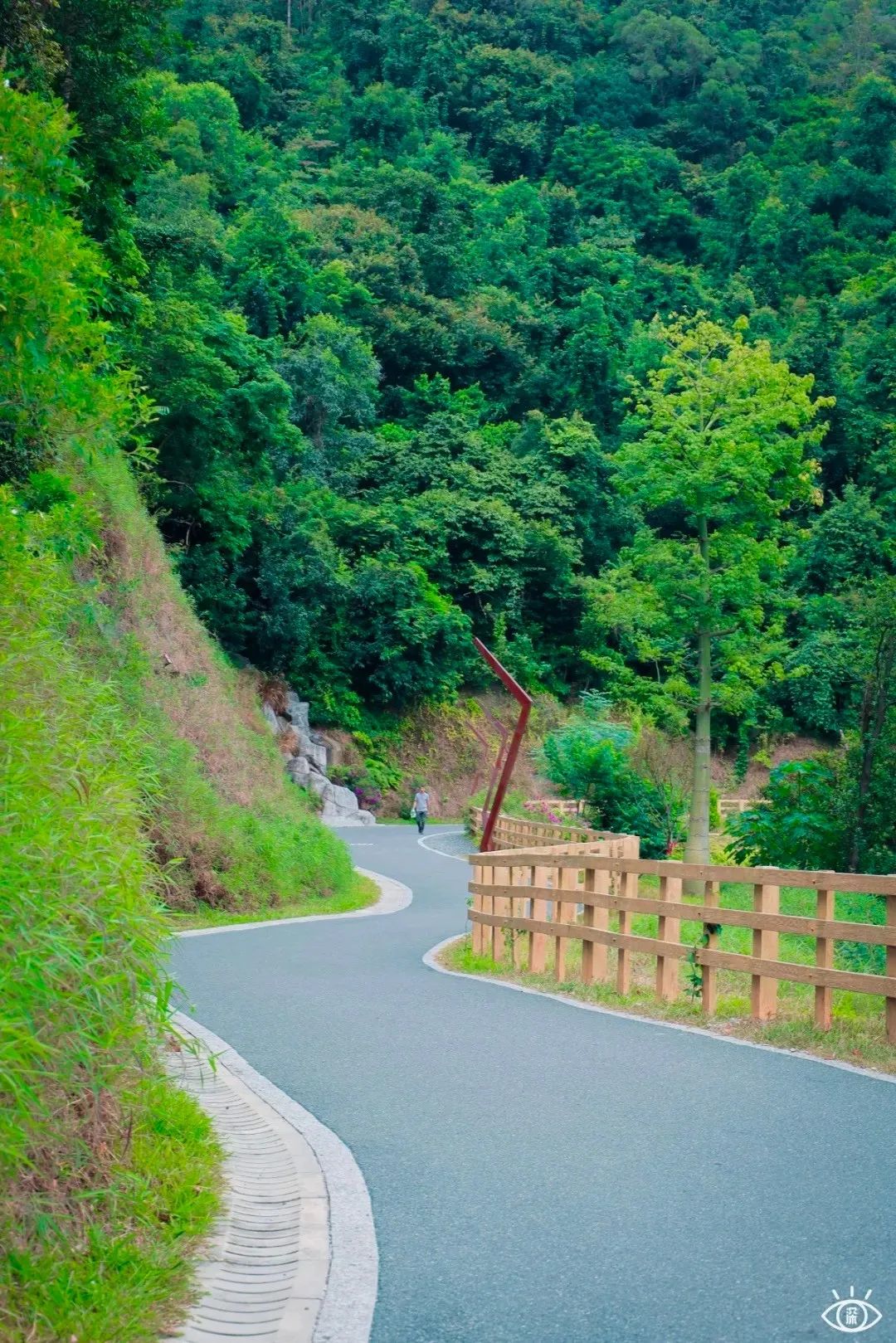 深圳周末带孩子免费游玩好去处,周末去哪玩推荐深圳