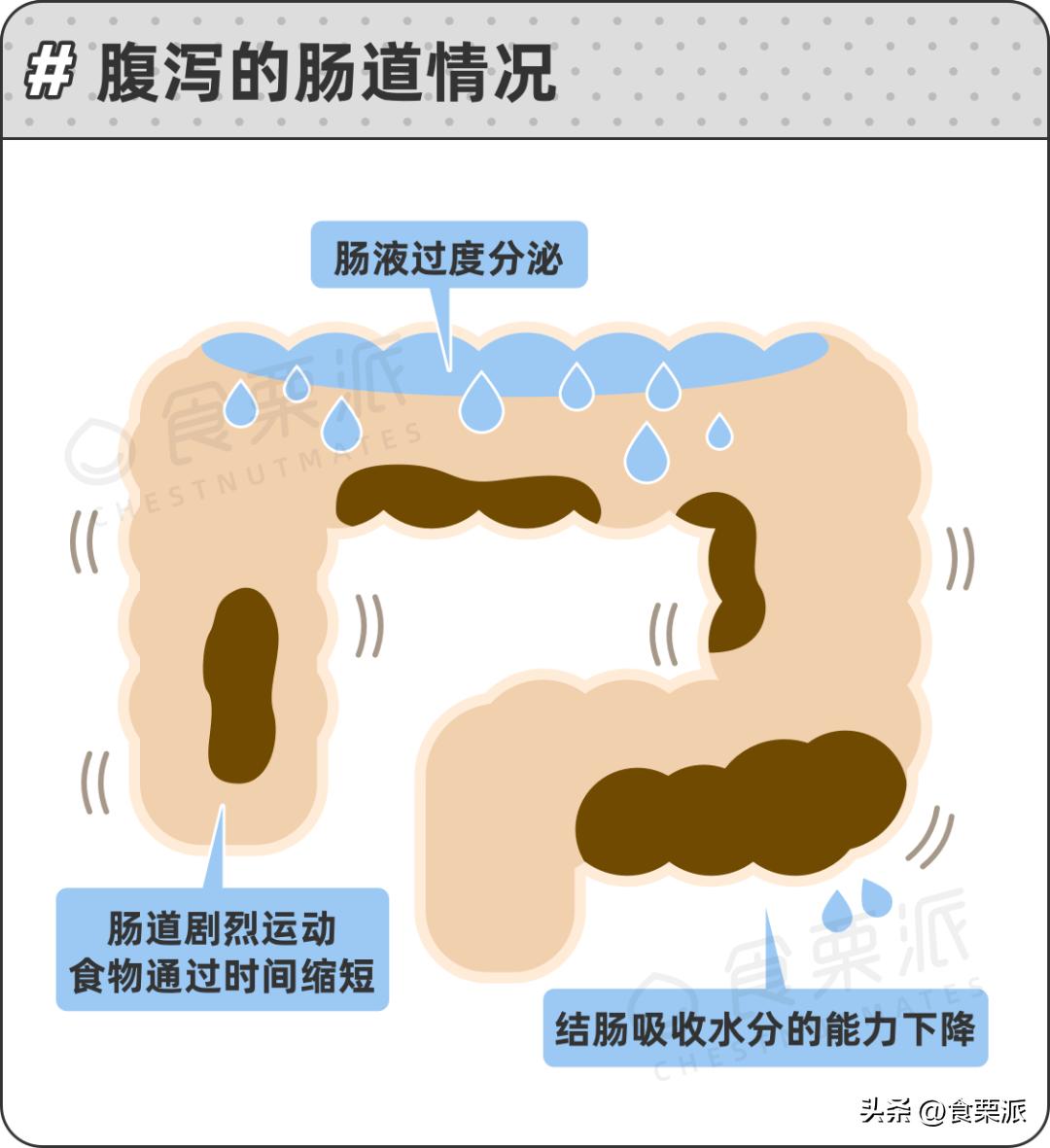 拉肚子吃什么食物止泻快,拉稀吃什么食物止泻最快