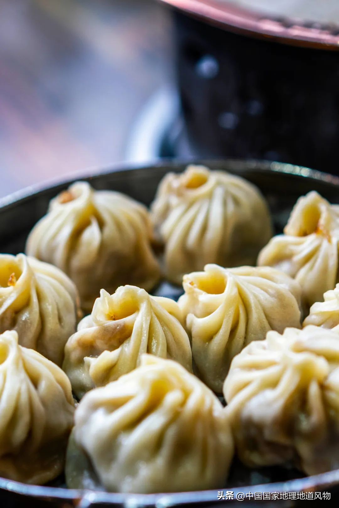 中国养羊最多的地方是哪里,中国养羊第一名