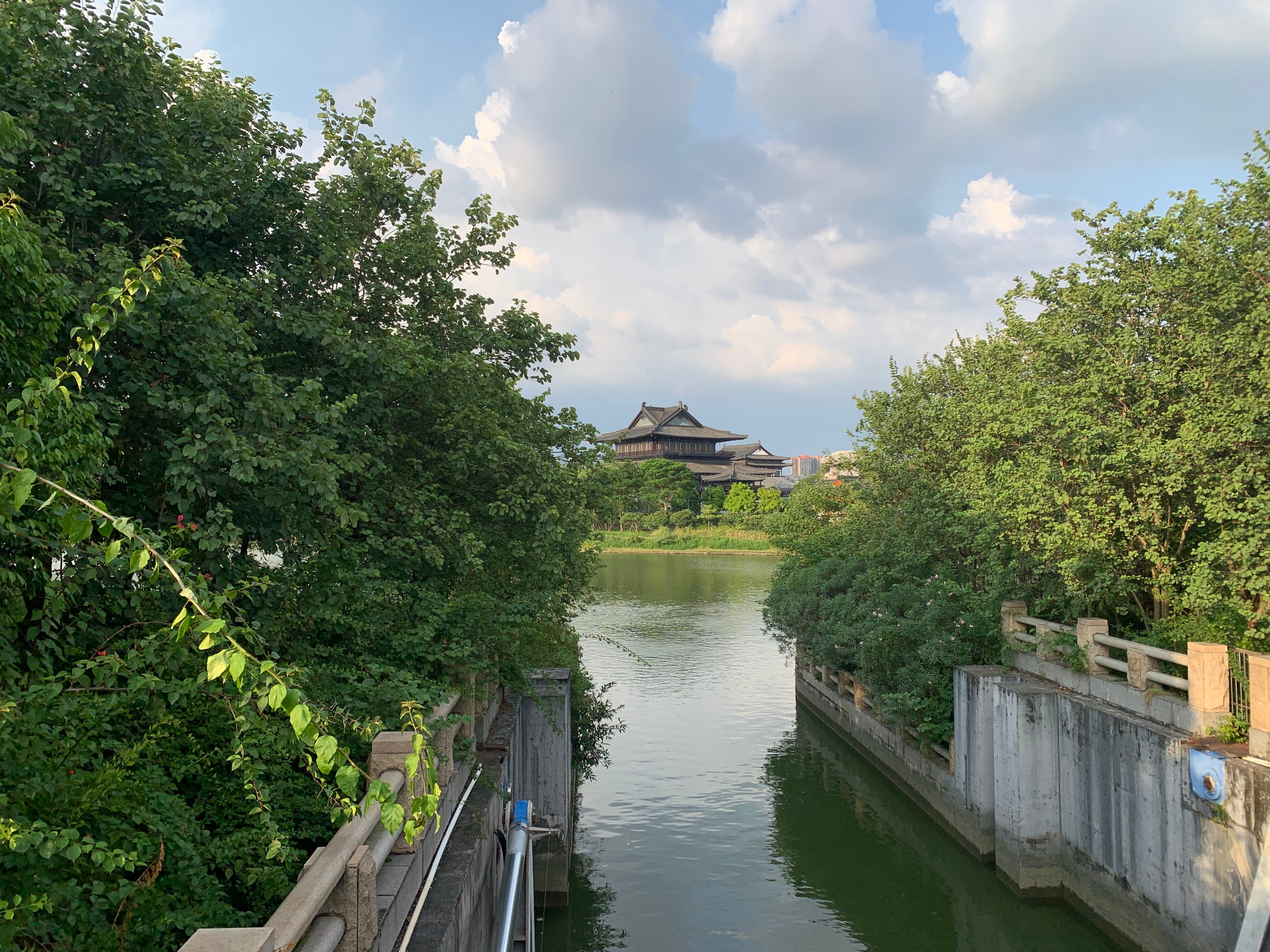 广州国庆假期一日游:南肾海珠湖国家湿地公园的最佳旅游攻略