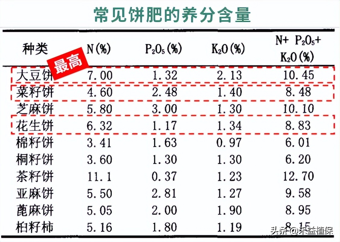 菜籽饼当肥料起什么作用,未腐熟菜籽饼怎样施柑橘果树