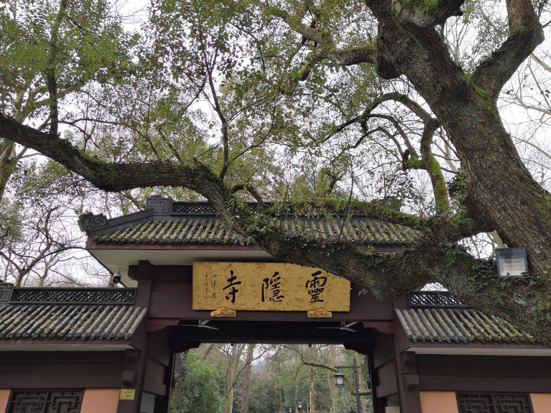 杭州旅游住宿攻略自由行最佳线路,杭州旅游攻略美食街一日游