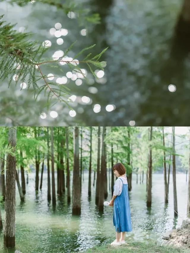 浙江台州：一座仙气飘飘的小县城，中国最接近“天堂”的地方