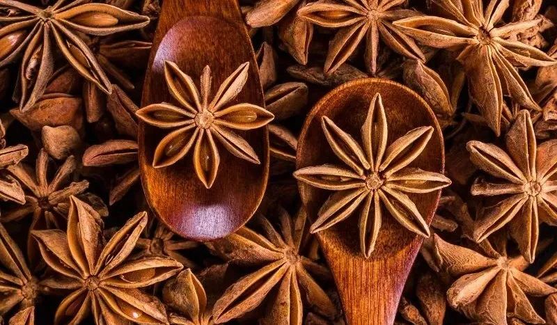 八角产业发展简介,八角产业面临的问题及对策建议