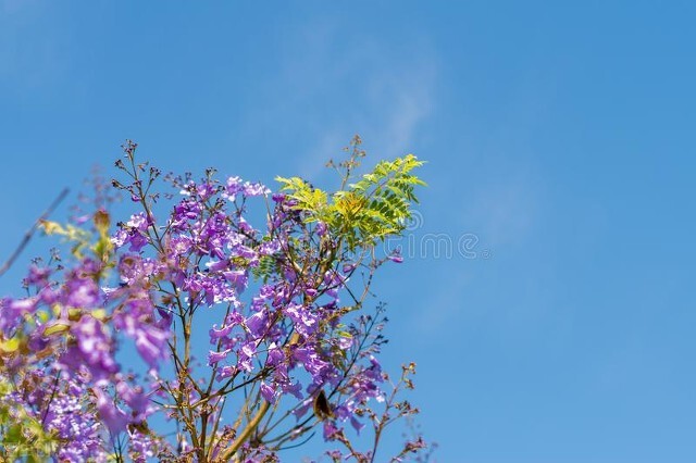 变美的50条习惯,分享40个变美的小细节