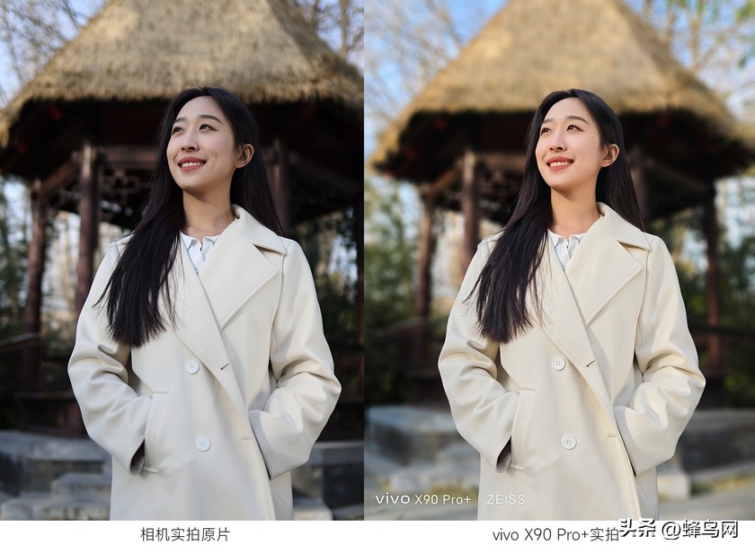 x90pro拍照样张,最新x90pro拍照测评