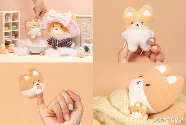 偶像萌宠超人气！伯贤柯基周边“粉丝夜排抢购”Rosé狗吸270万粉