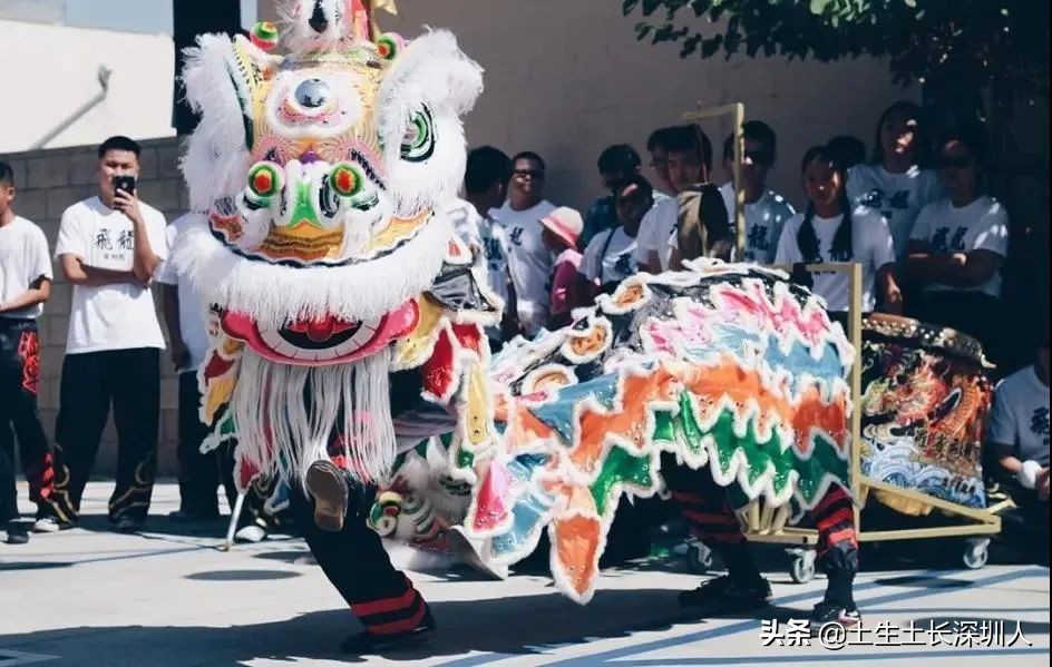 醒狮和瑞狮的区别在哪,醒狮的运动特点