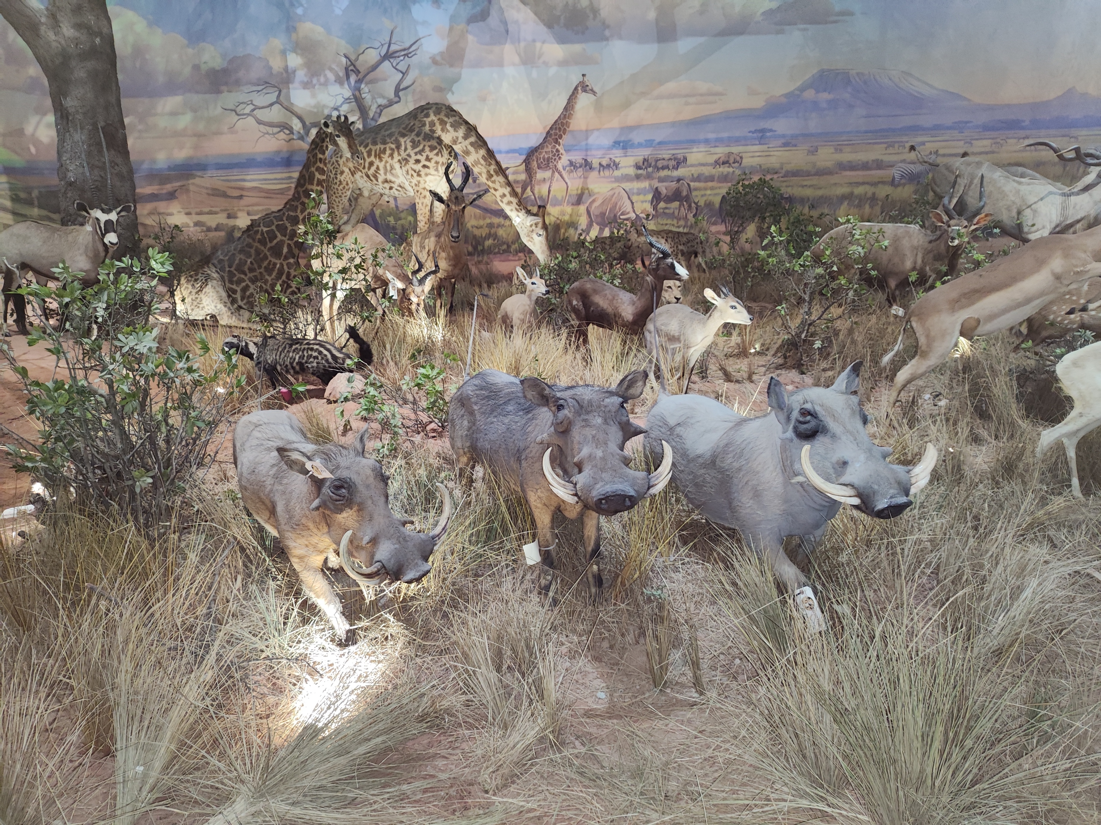 河南省科技馆新馆打卡攻略,河南省科技馆预约门票