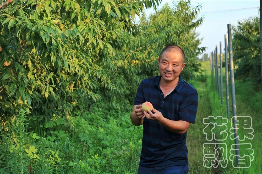 老板,这个水果多少钱?不用,你帮我介绍客户就行了