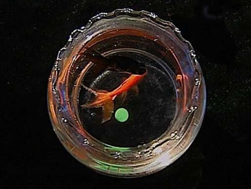 退伍军人意外救下一老人，对方赠宝珠谢恩，38年后才知宝珠不简单