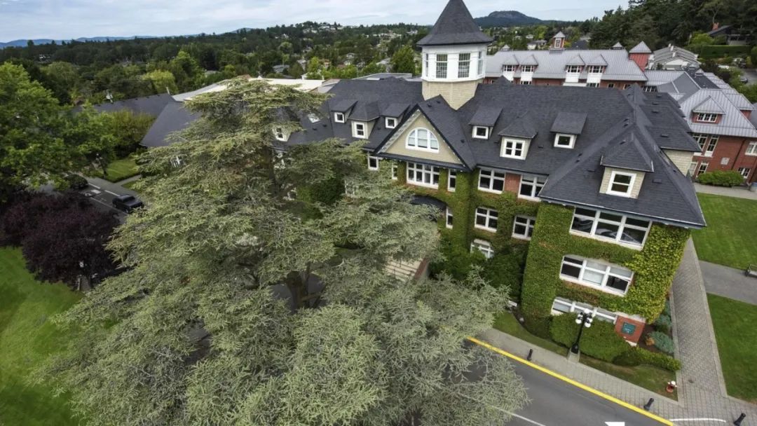 加拿大有名的前十名大学,加拿大最热门名校各校优势