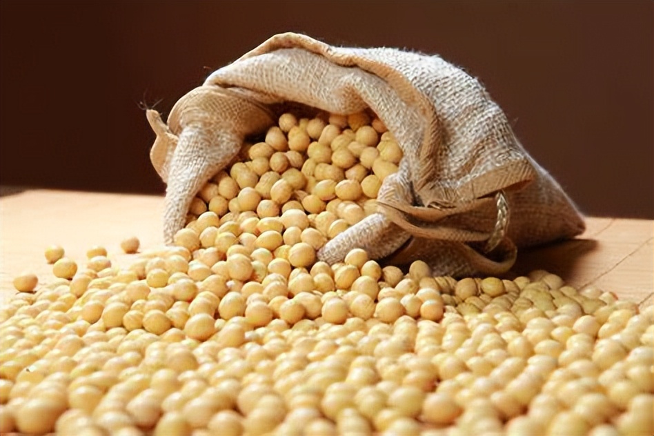 12月16日全国最新大豆价格,12月10日全国最新大豆价格