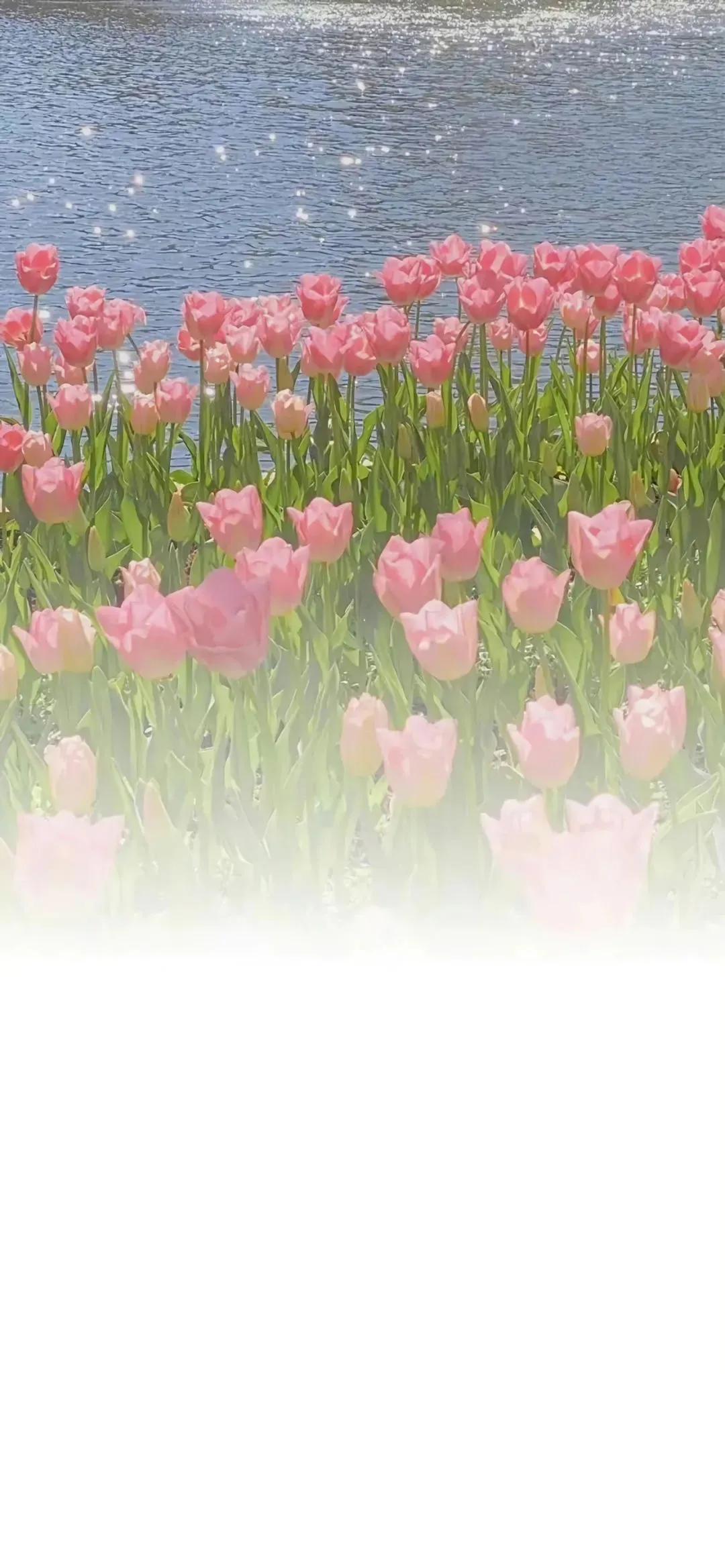 渐变晕染聊天背景图,渐变聊天背景图全屏可保存