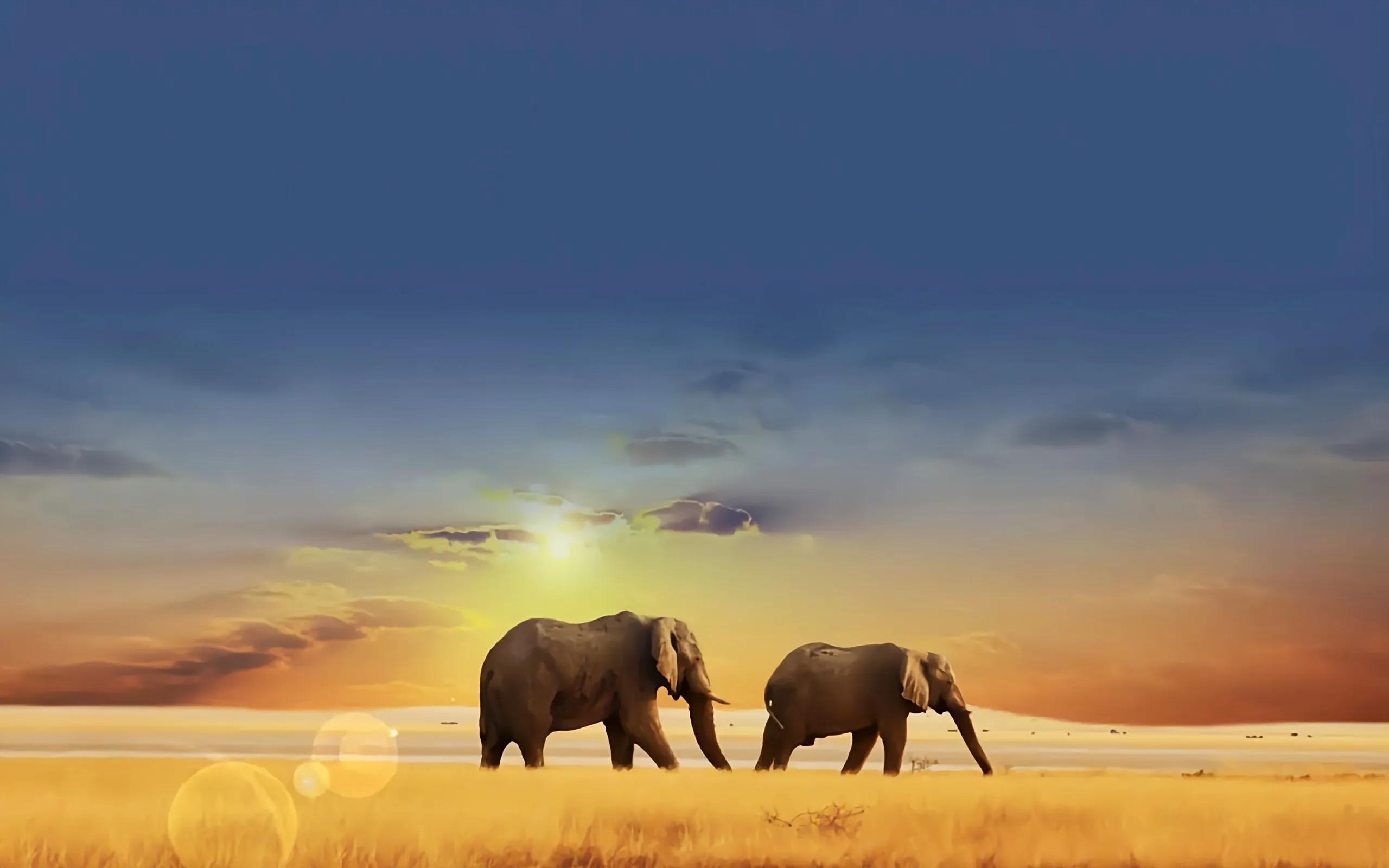 静心看世界万物皆释然,睁开眼睛看清世界