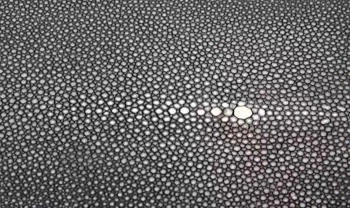 魔鬼鱼皮皮革,魔鬼鱼皮制品