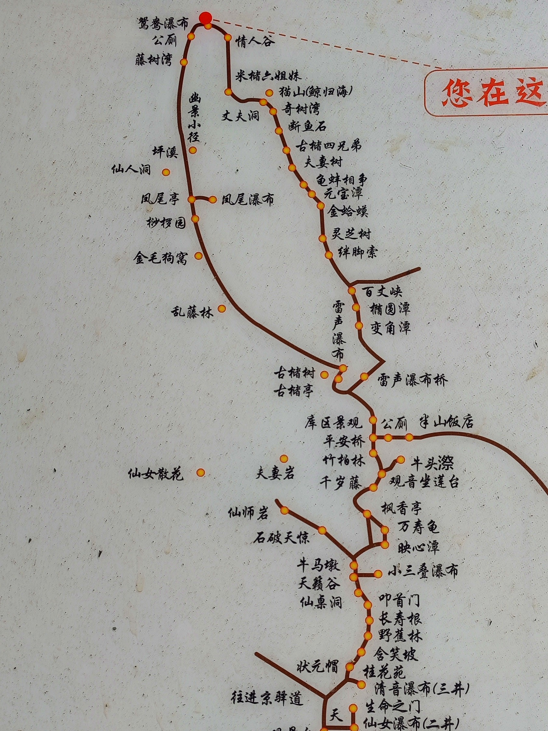 徒步三叠井森林公园，拥抱采兰溪，走进大自然