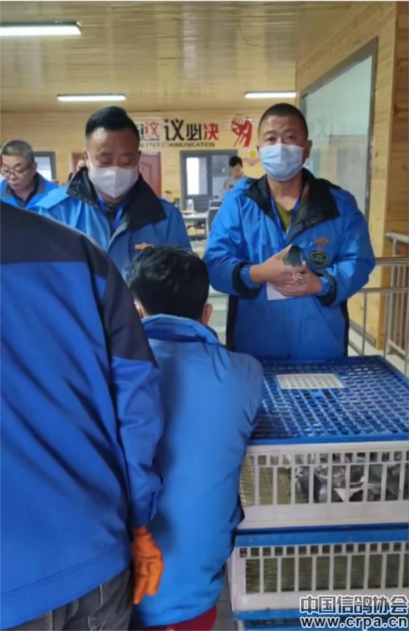 冠军高分速归巢！“洲际杯”甘肃帝珲站509公里决赛精彩回顾