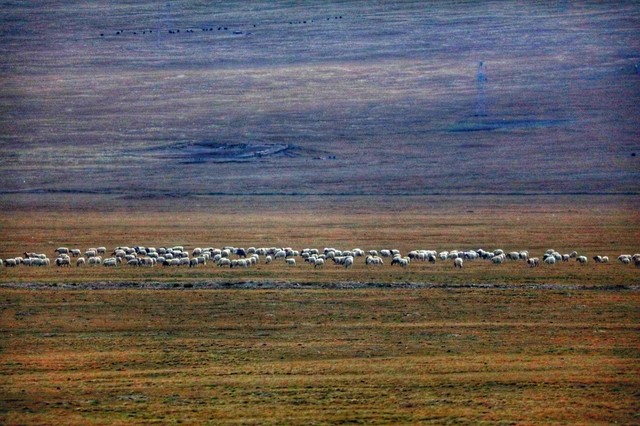 藏东自驾游最佳路线,西藏自驾游攻略