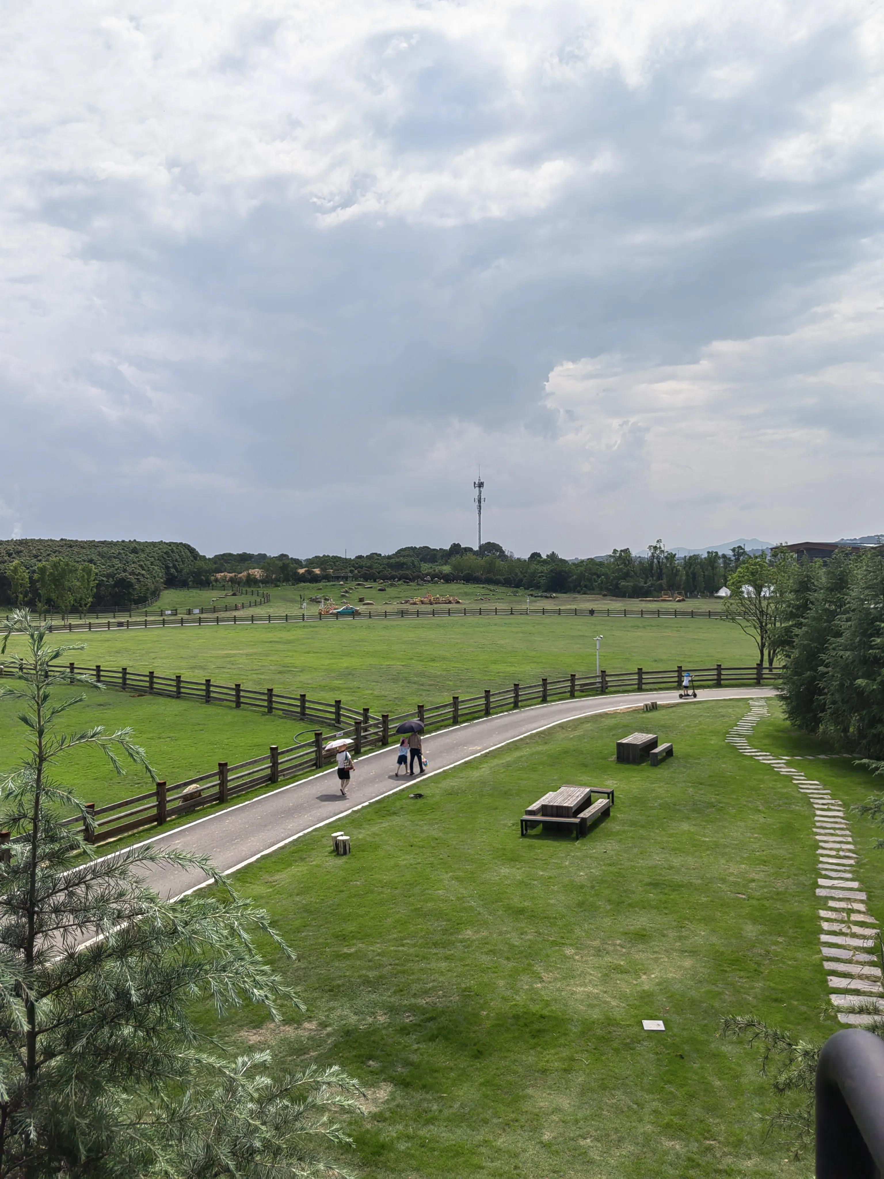 社会没有想象那么好也没有那么糟,如今社会人们生活中最缺的是什么