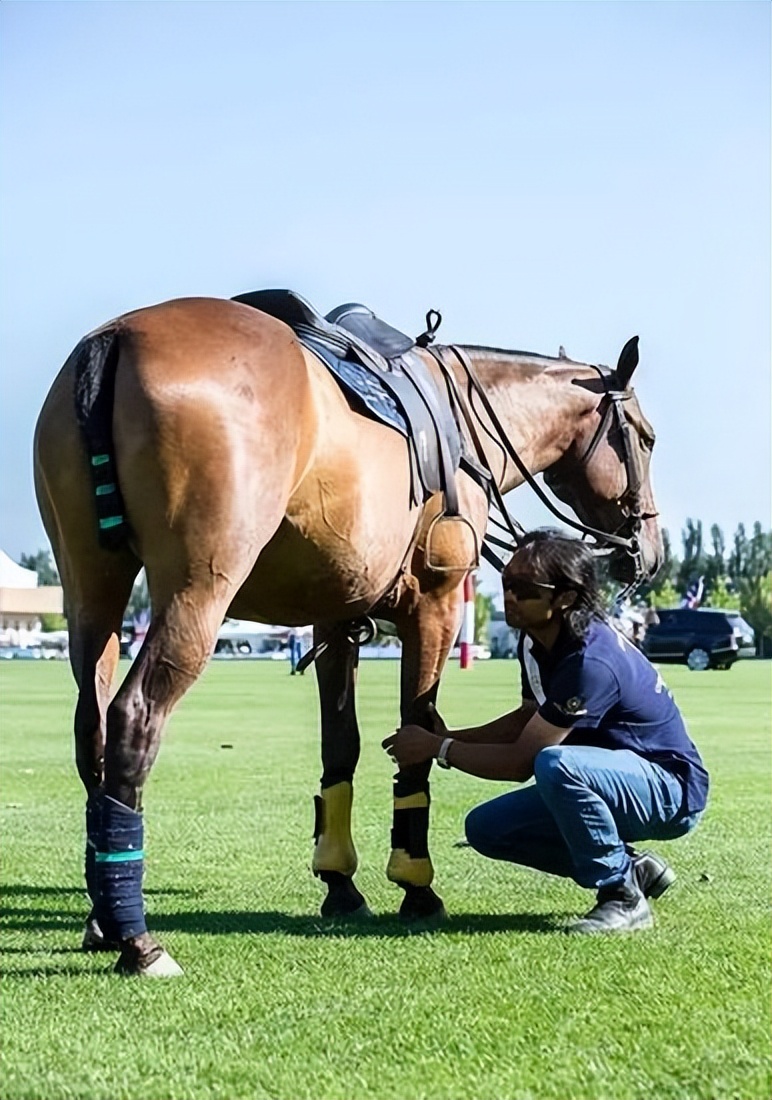 马球品牌服饰,马球服饰品牌