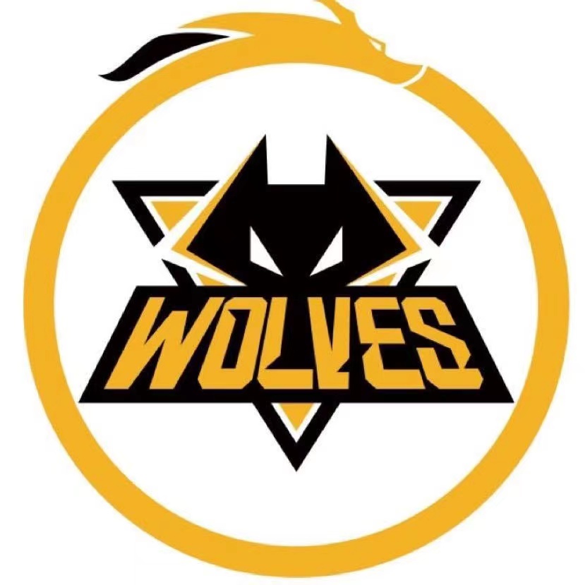 edgm训练赛,edgm训练视频大全