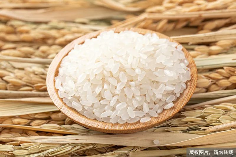 泰国香米到底有没有香味,为什么买的泰国香米没香味发干