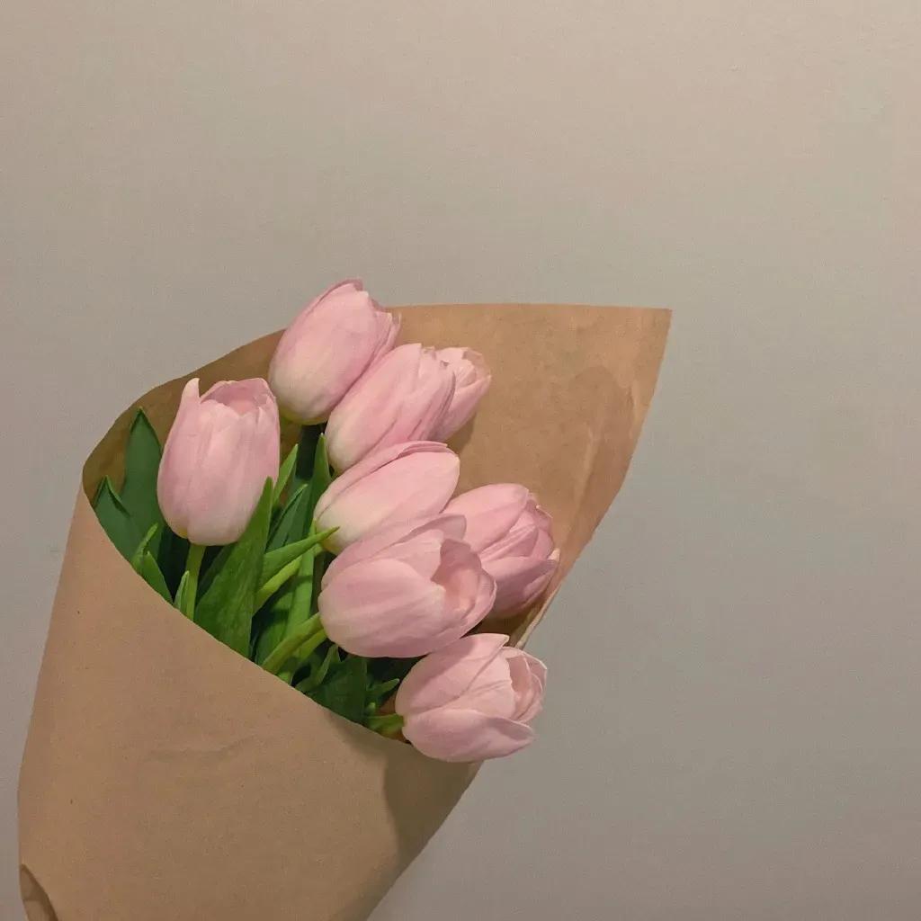 郁金香图片唯美大图,郁金香背景图粉色花海