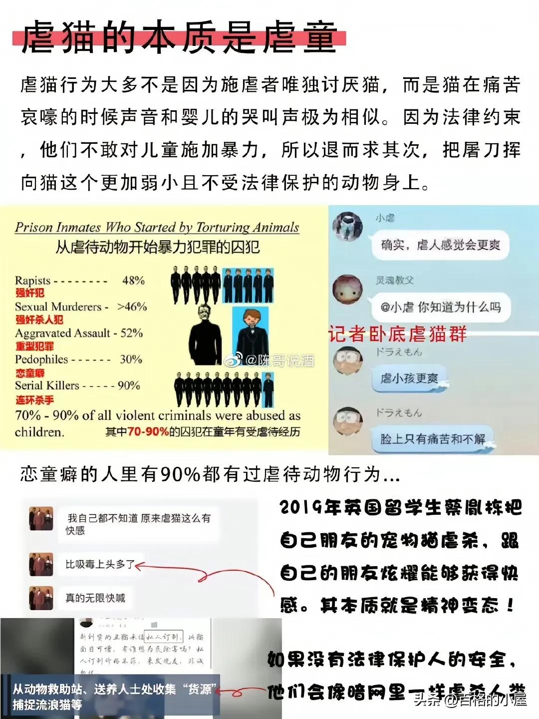 恶趣味！以爱猫为幌子售卖虐猫视频，10元30G，群内讨论虐猫手法