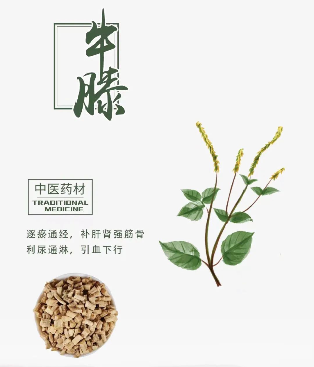 宁心安神活血散淤利尿通淋中药,活血化瘀的药和利尿药能同吃吗