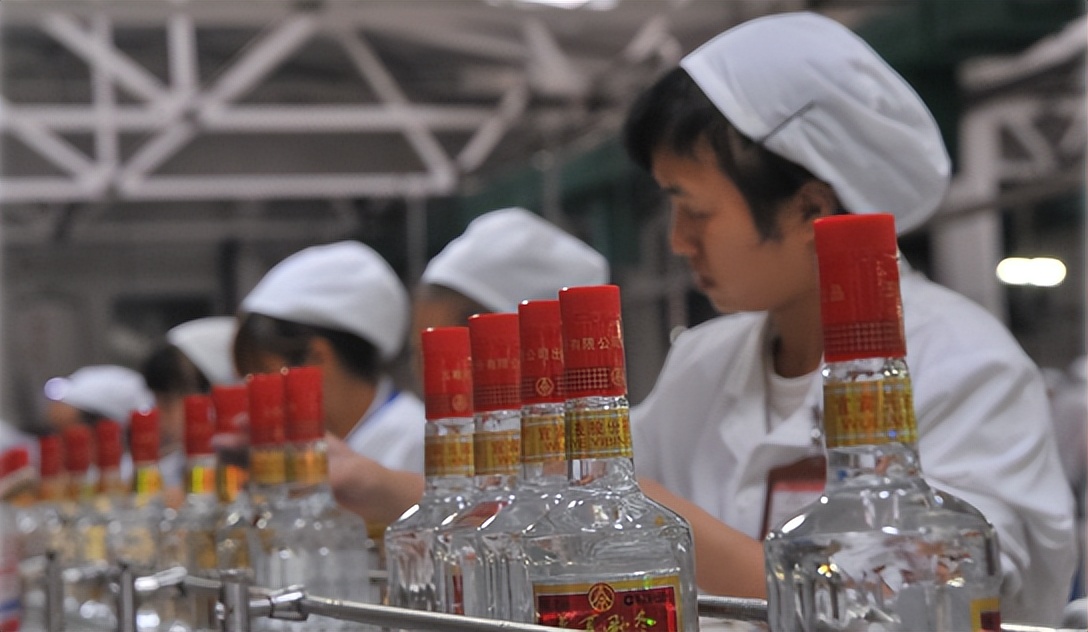 以真点亮品牌之光,万茗堂应邀与央视主持人董倩《对话中国品牌》