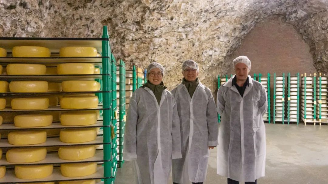 正谷ouroland干酪怎么吃,正谷有机奶