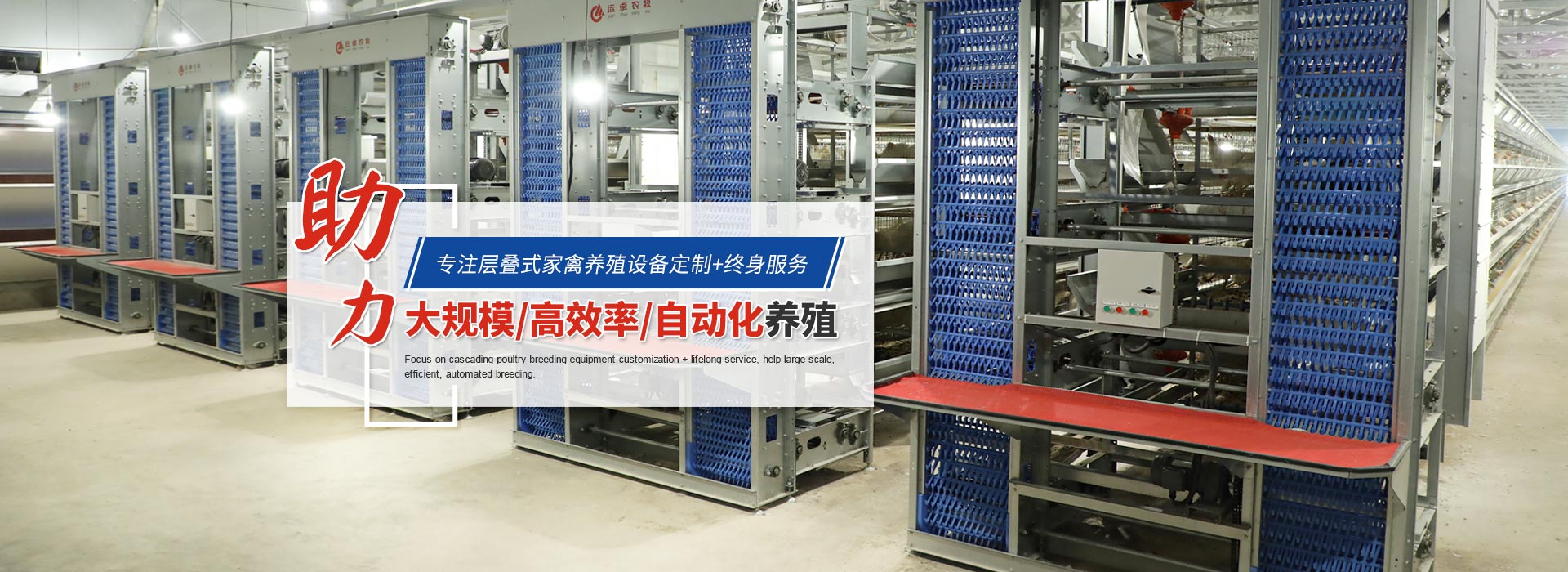 养鸡杀菌最好的方法,鸡产品杀菌最好的方法