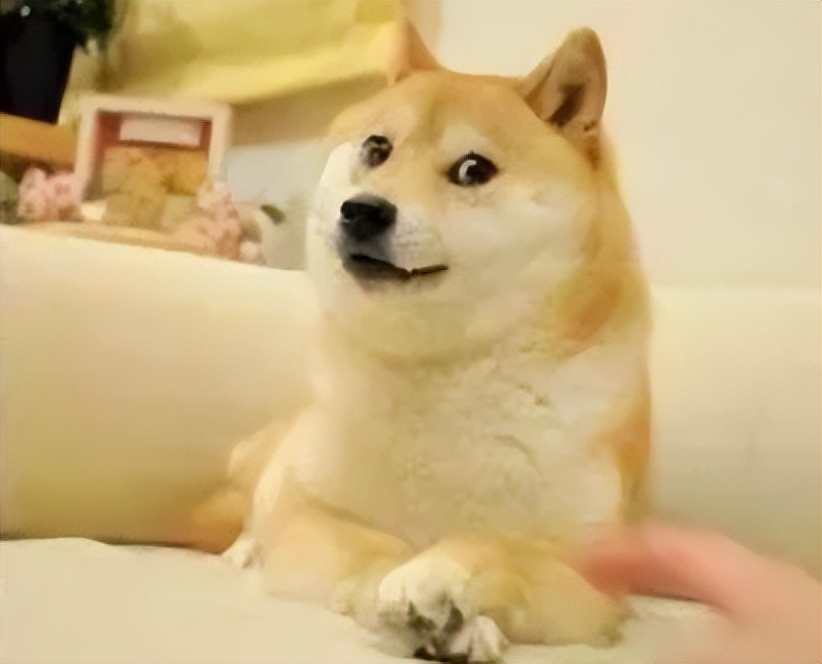 新表情？腾讯申请新“狗头”商标，这设计真欠打......