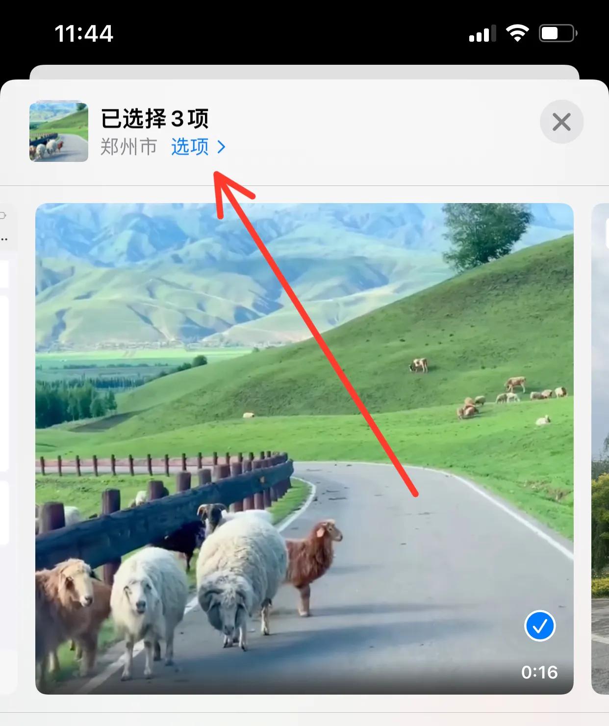 iphone实况照片传入电脑如何打开,苹果手机相片隔空投送失败