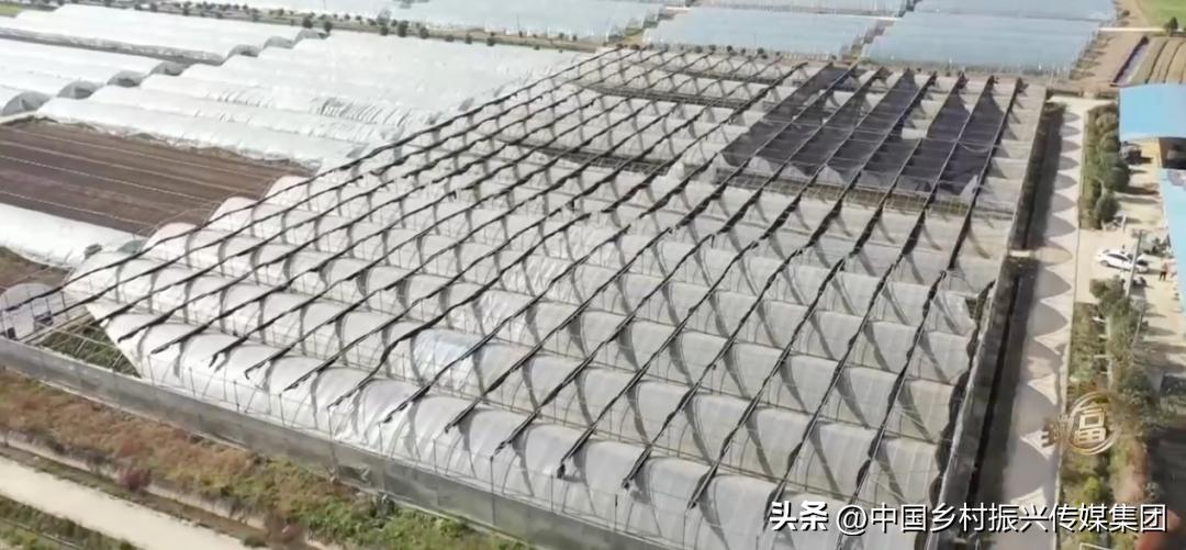 2022乡村振兴扶持项目方案,2023年乡村振兴项目补贴申报指南