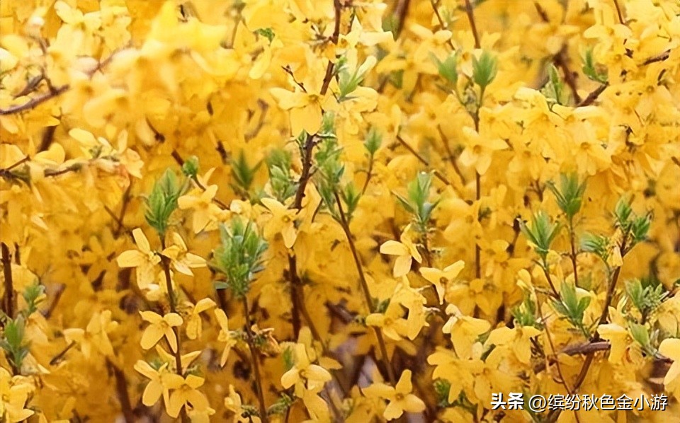 山西长治特产什么最好,长治特产好吃的