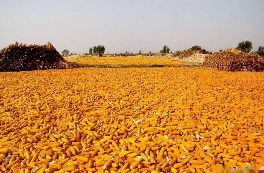 中国开始抛售美债了吗,中国正式宣布抛售美债吗