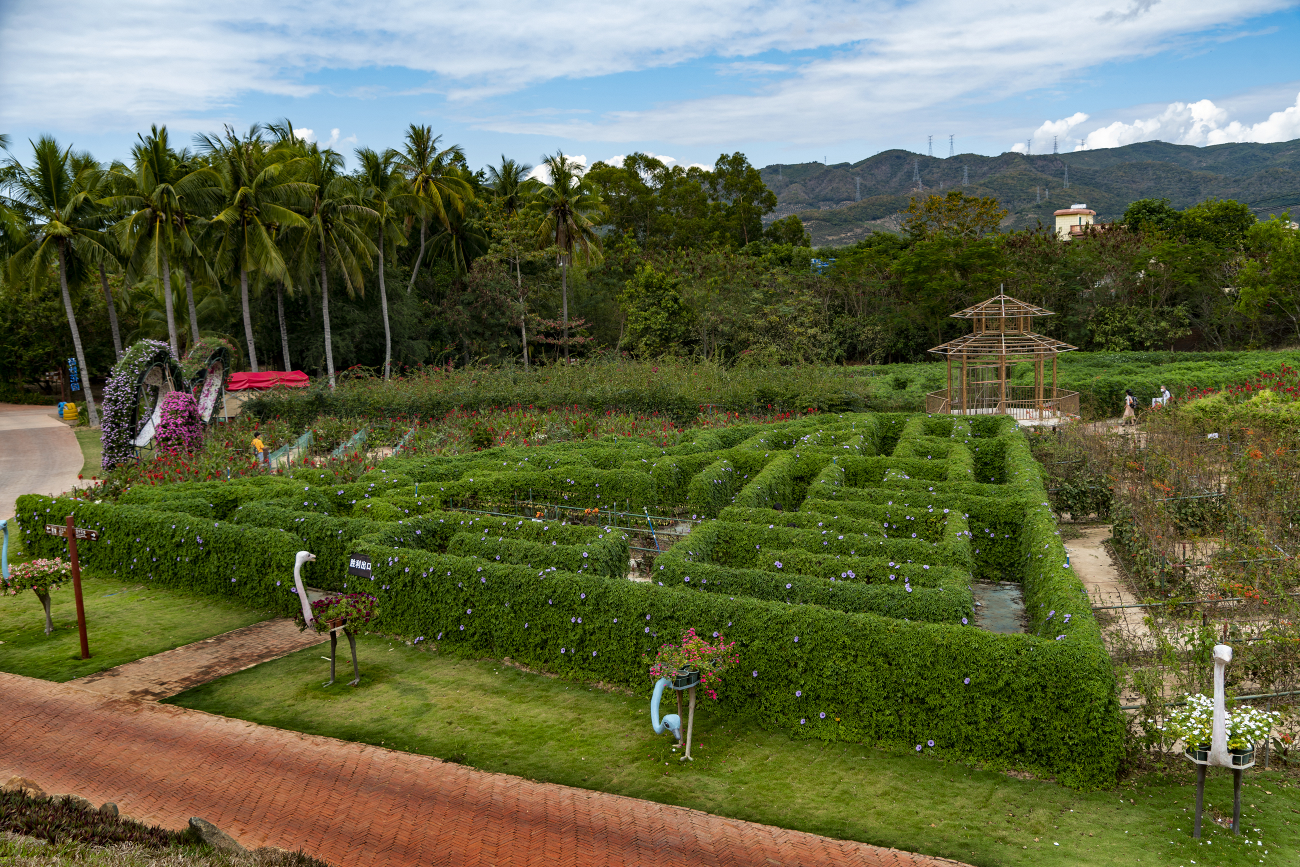 三亚天行森林公园门票,三亚天行森林公园旅游攻略