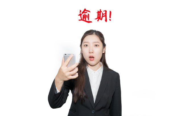 买房的征信报告是啥样,征信报告到底说什么