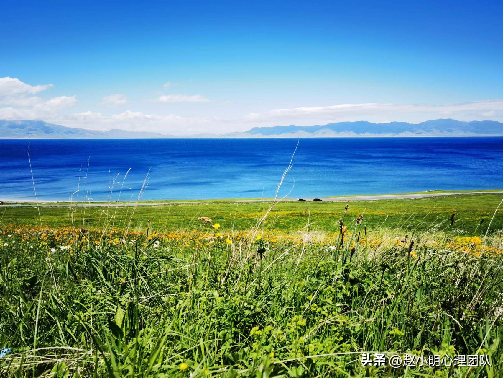 赵小明心理学培训,赵小明有效思维