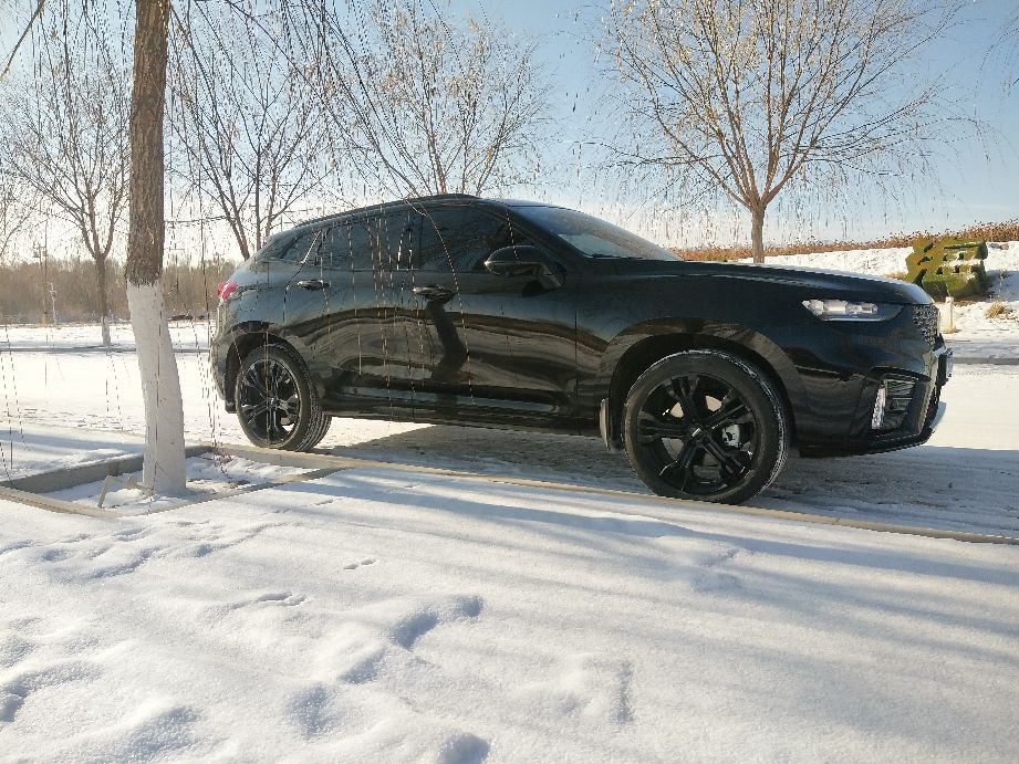 长城有没有不费油的车,长城车费油不